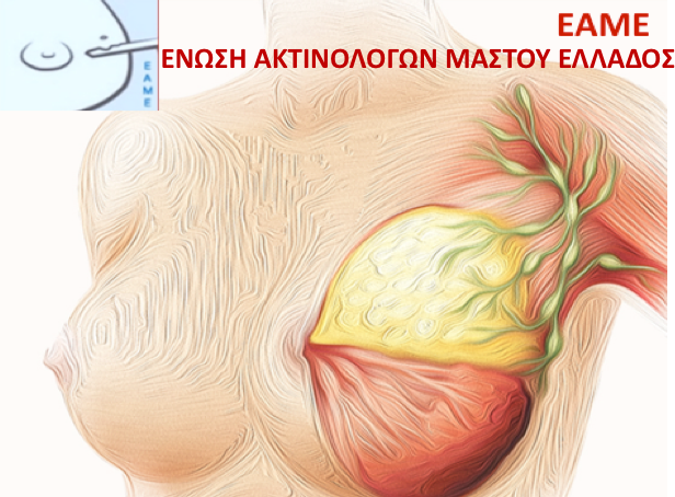 Στιγμιότυπο 2021 03 05 10.20.29 πμ