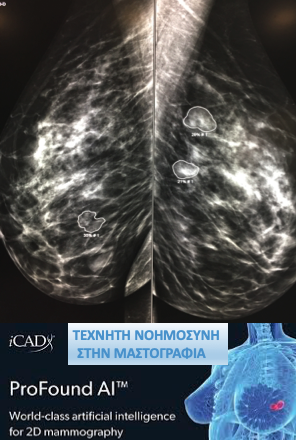 Στιγμιότυπο 2021 03 04 10.47.22 πμ